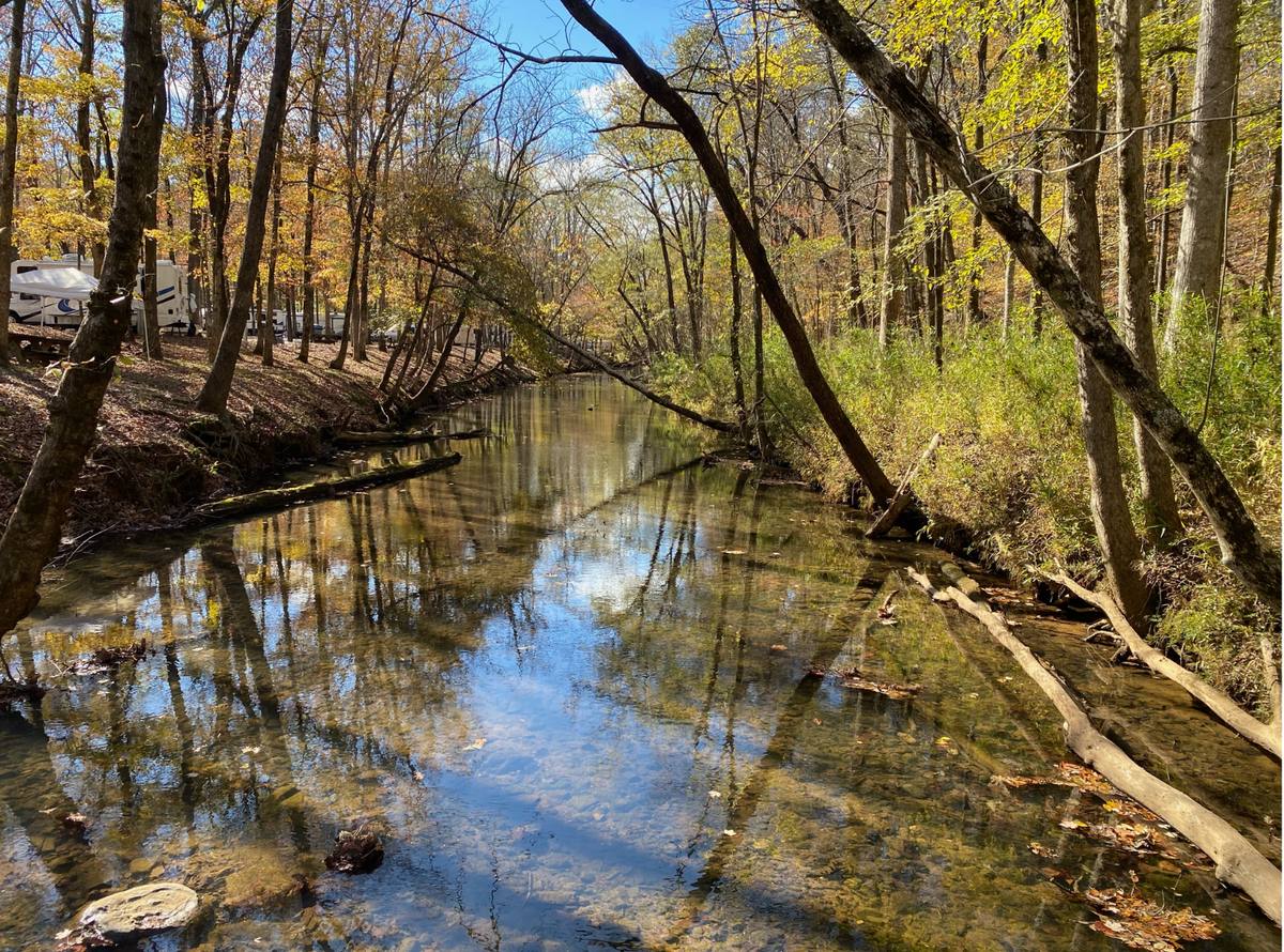 The creek behind Papa's house where the family grappa was made